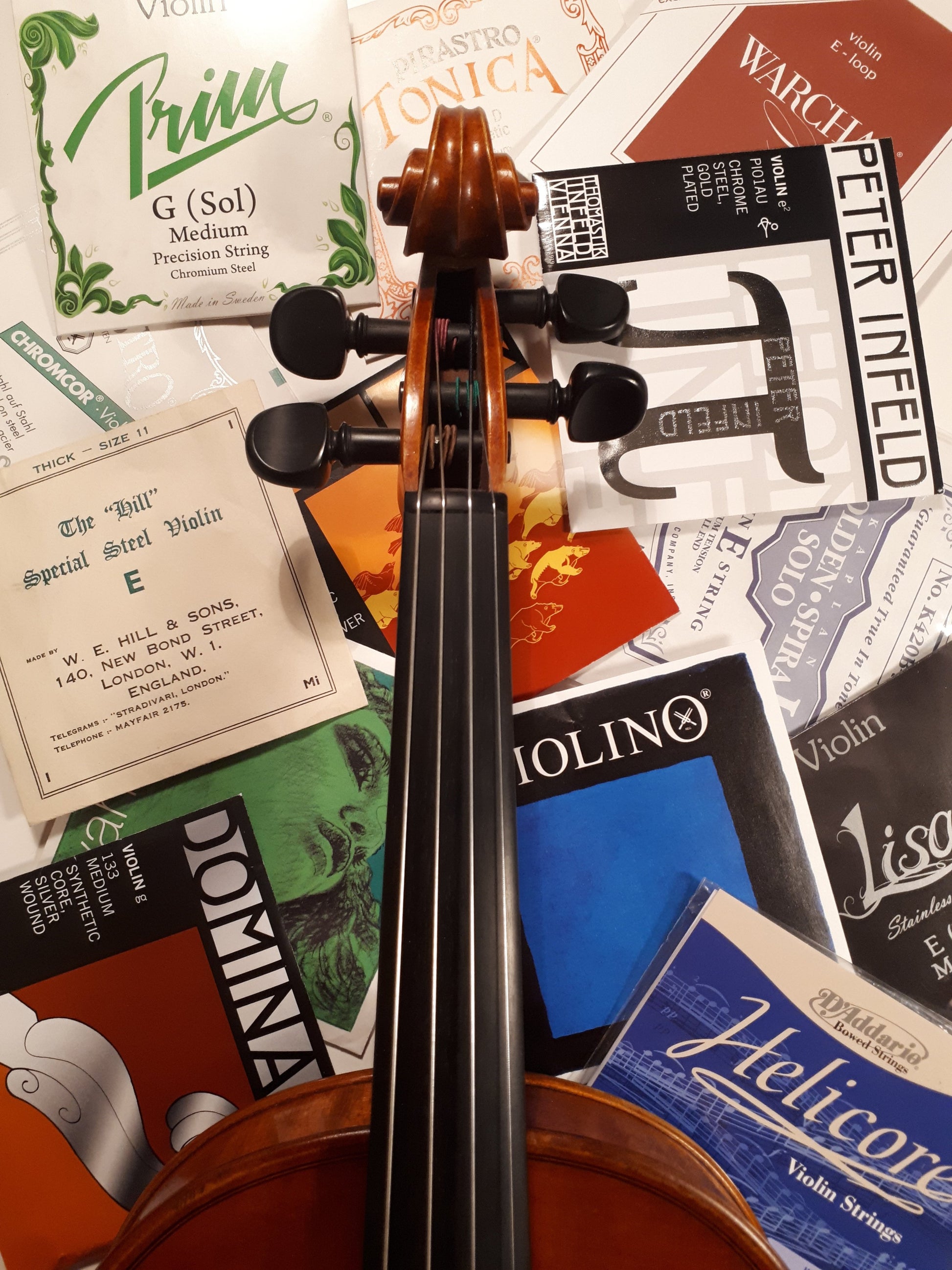 byta strängar violin viola cello kontrabas