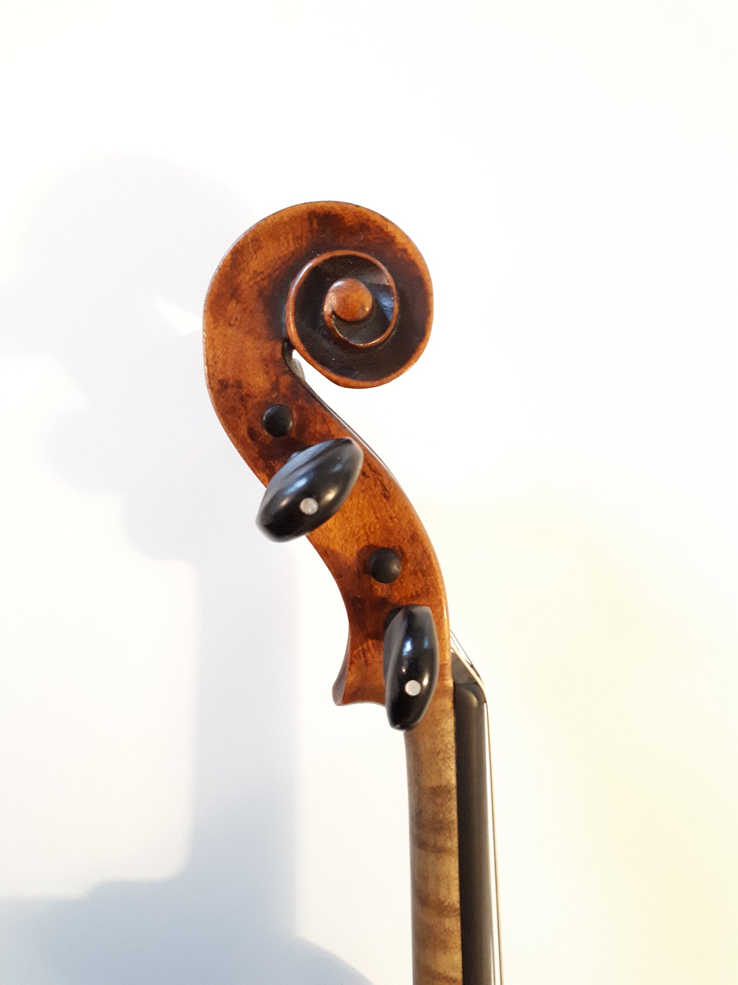 viola stockholm 1800-talet