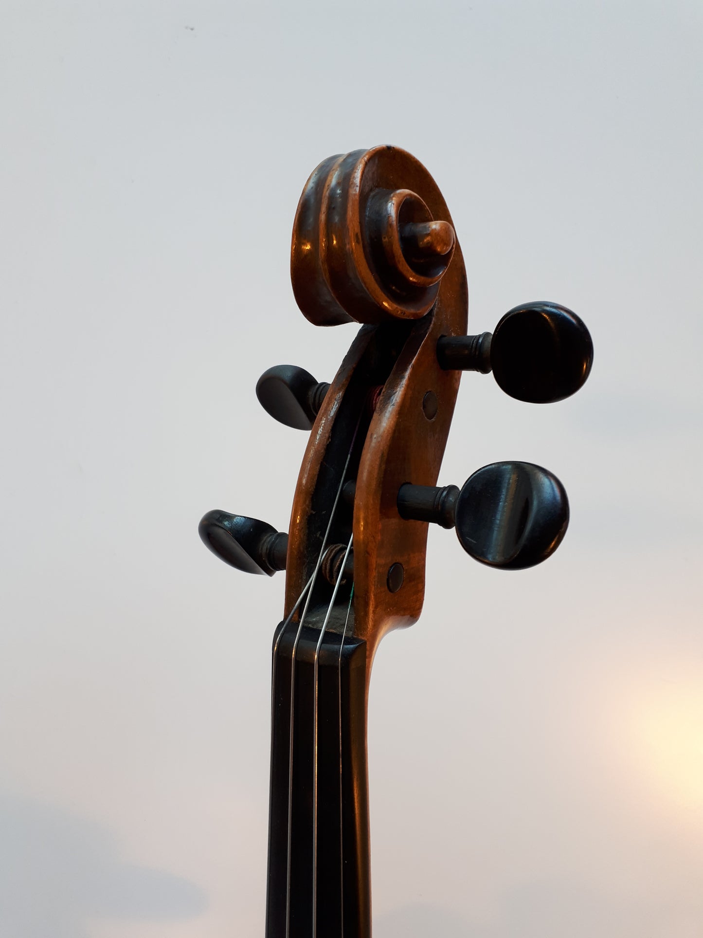 Violin - Amati modell