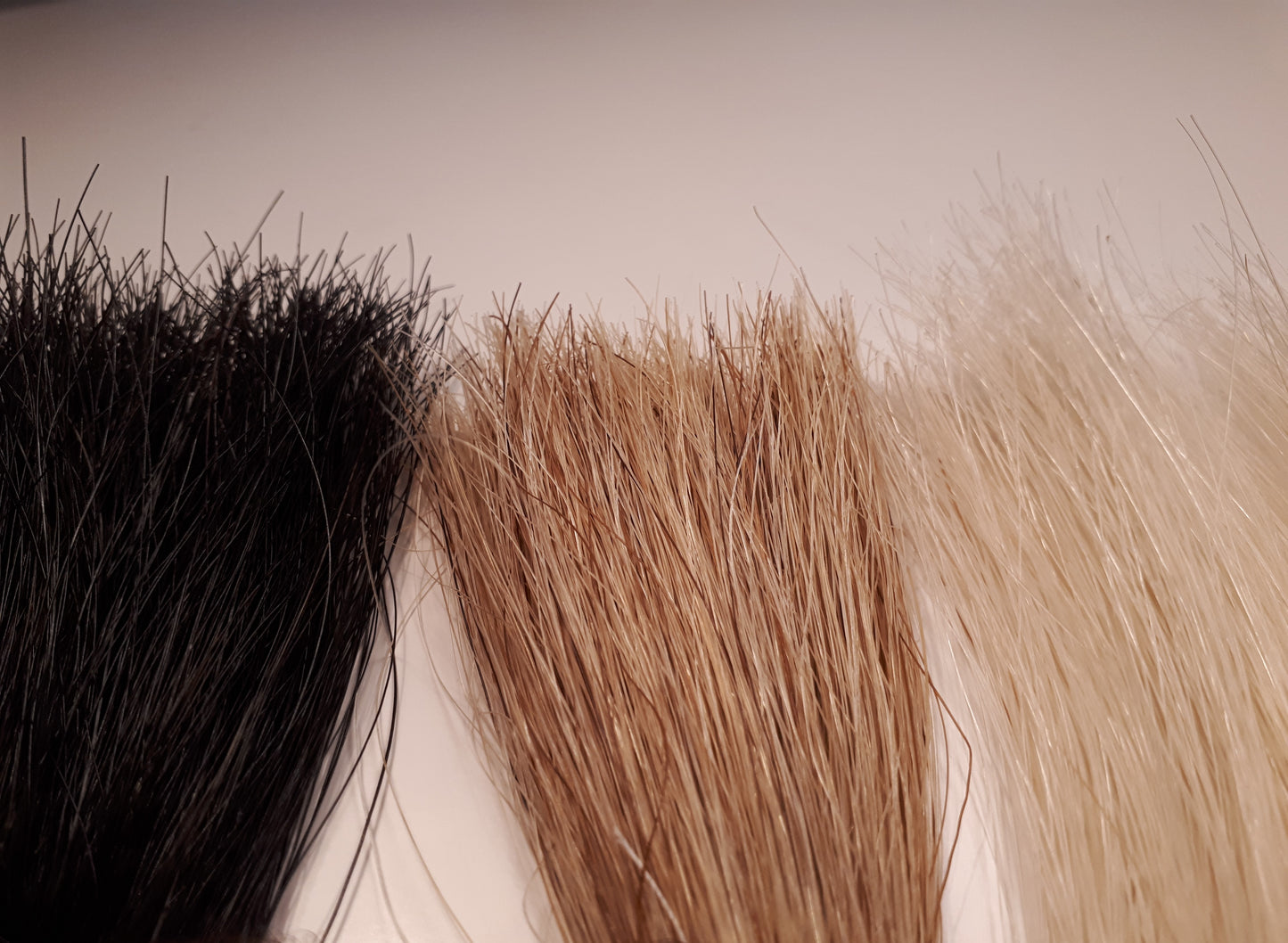 Tagling – violastråke