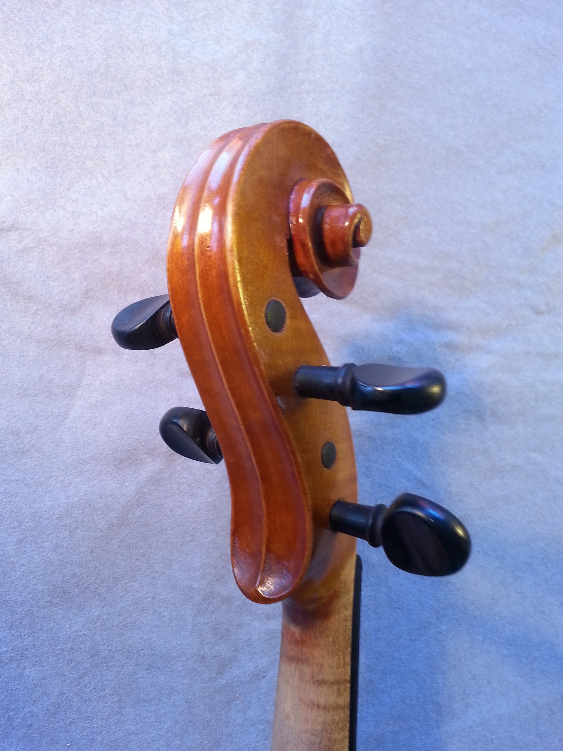 viola bei mittenwald