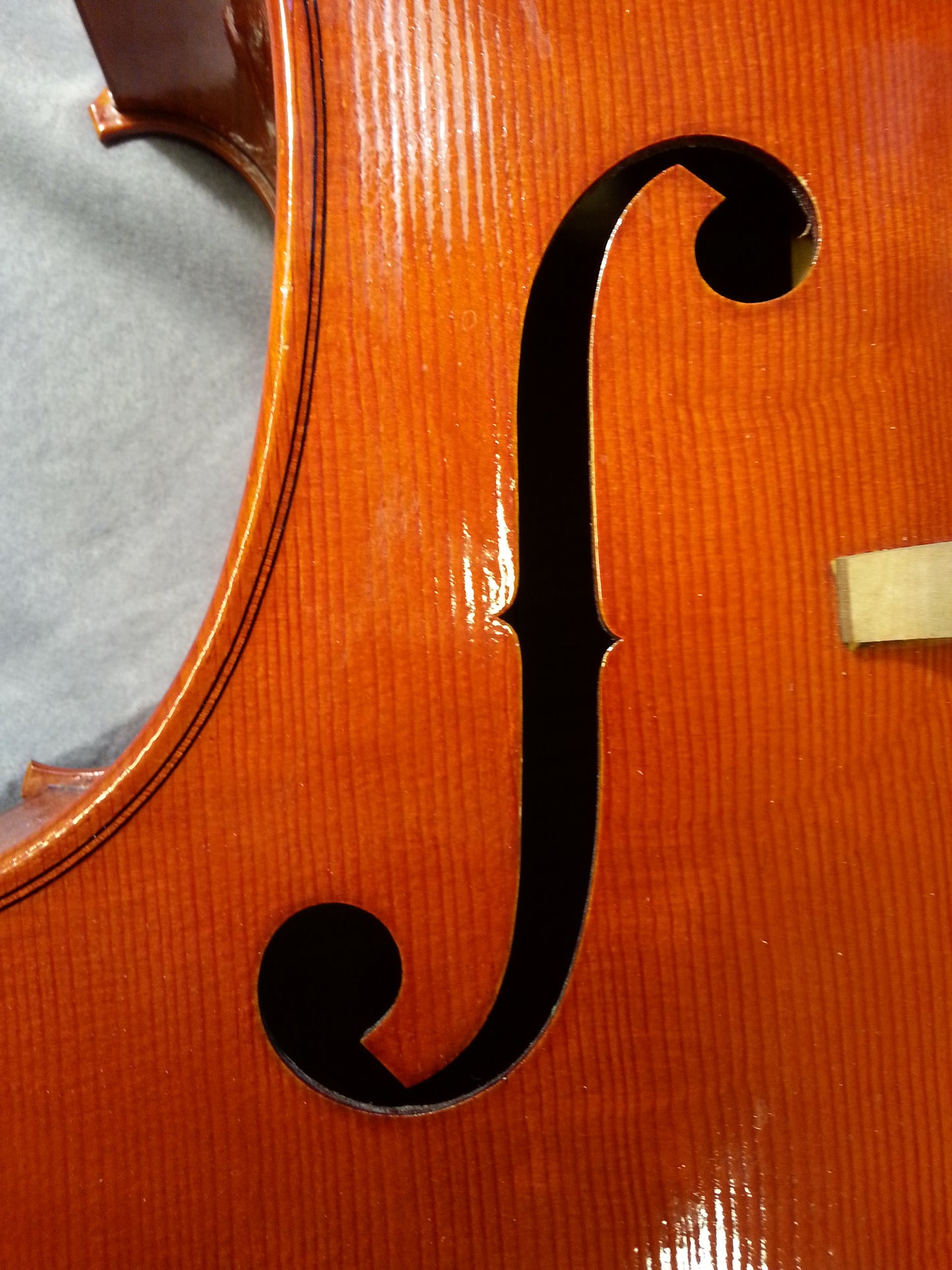 Cello - Philippe Dormond 2014