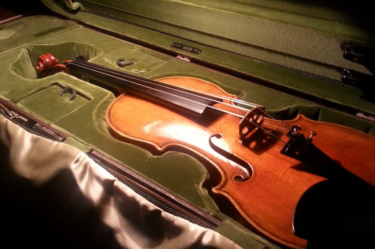 hyra mästarfiol proffs violin