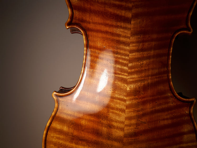 Modern violins, violas & cellos