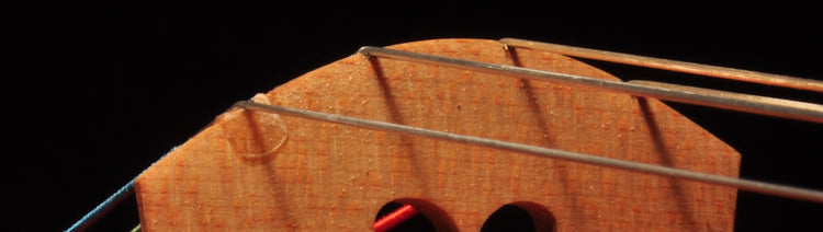 violin cello strängar