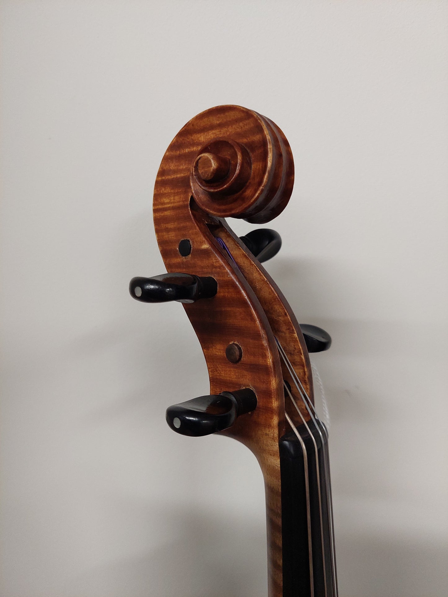Viola - Swedish 1914