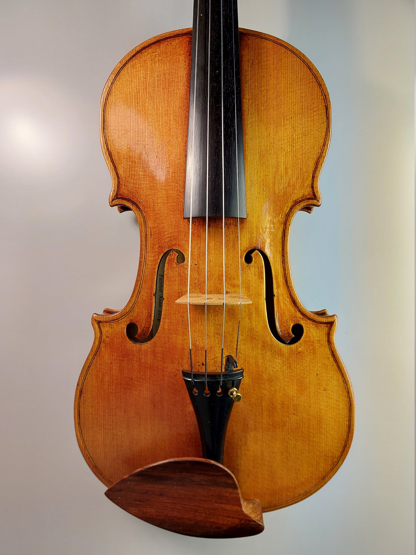 Violin - Stefan Lindholm 2016