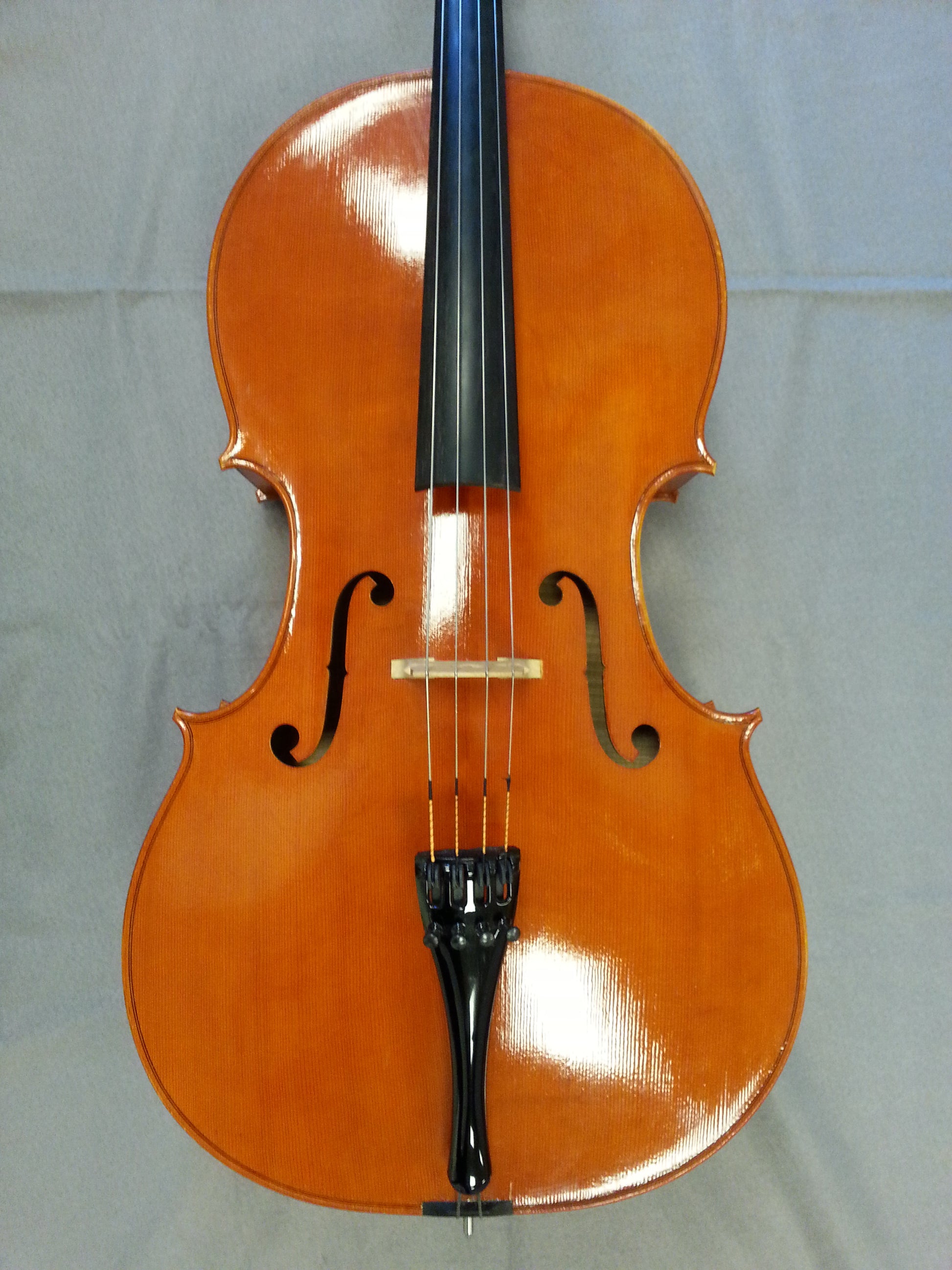cello modern byggare 
