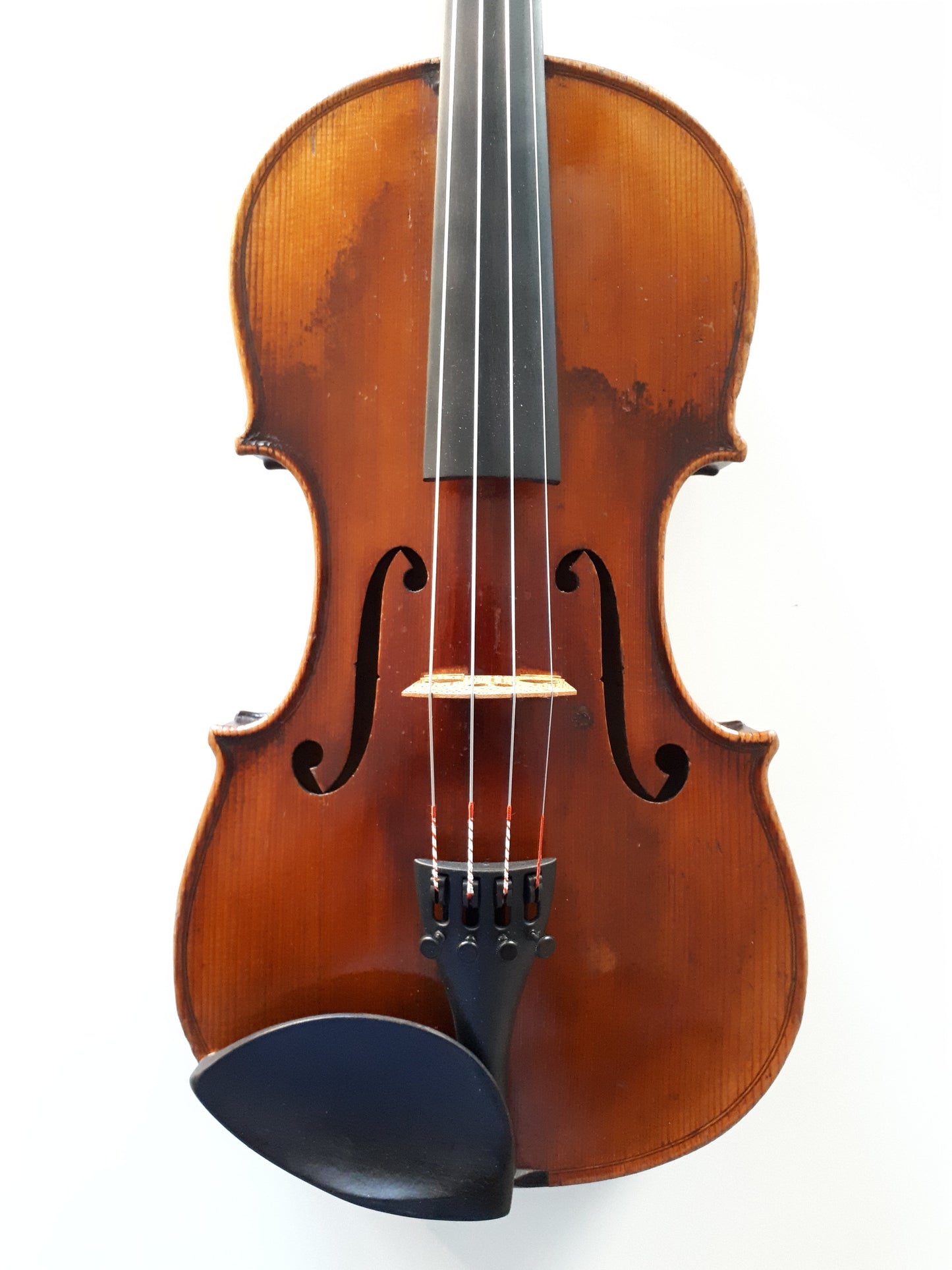 kopia guarnerius peter westerlund