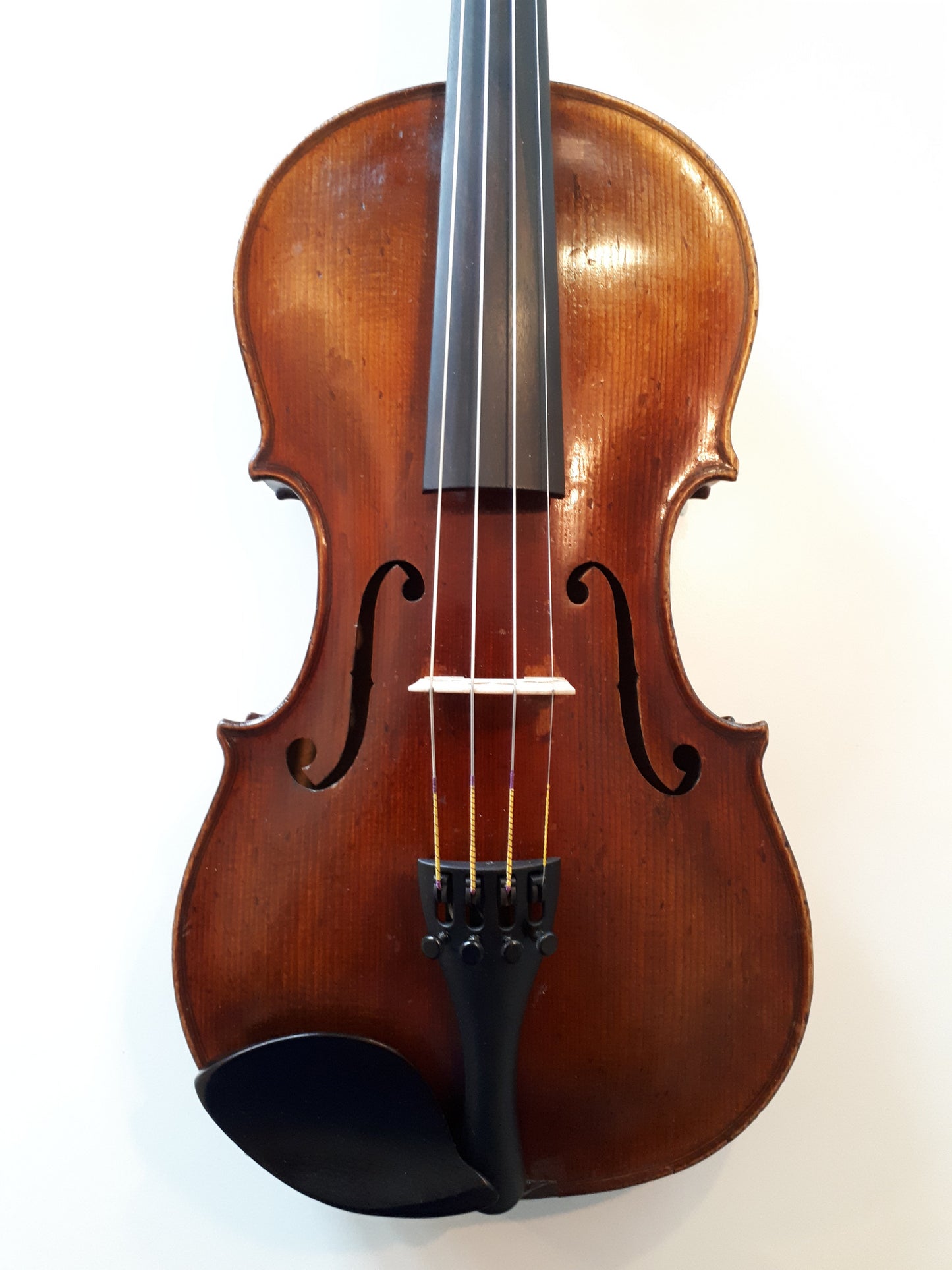 dominic montagnana kopia violin