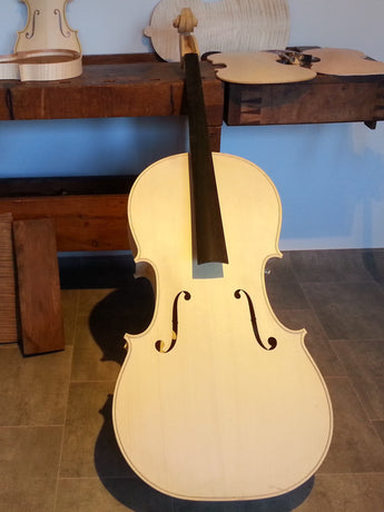 award winning swedish cello in paris