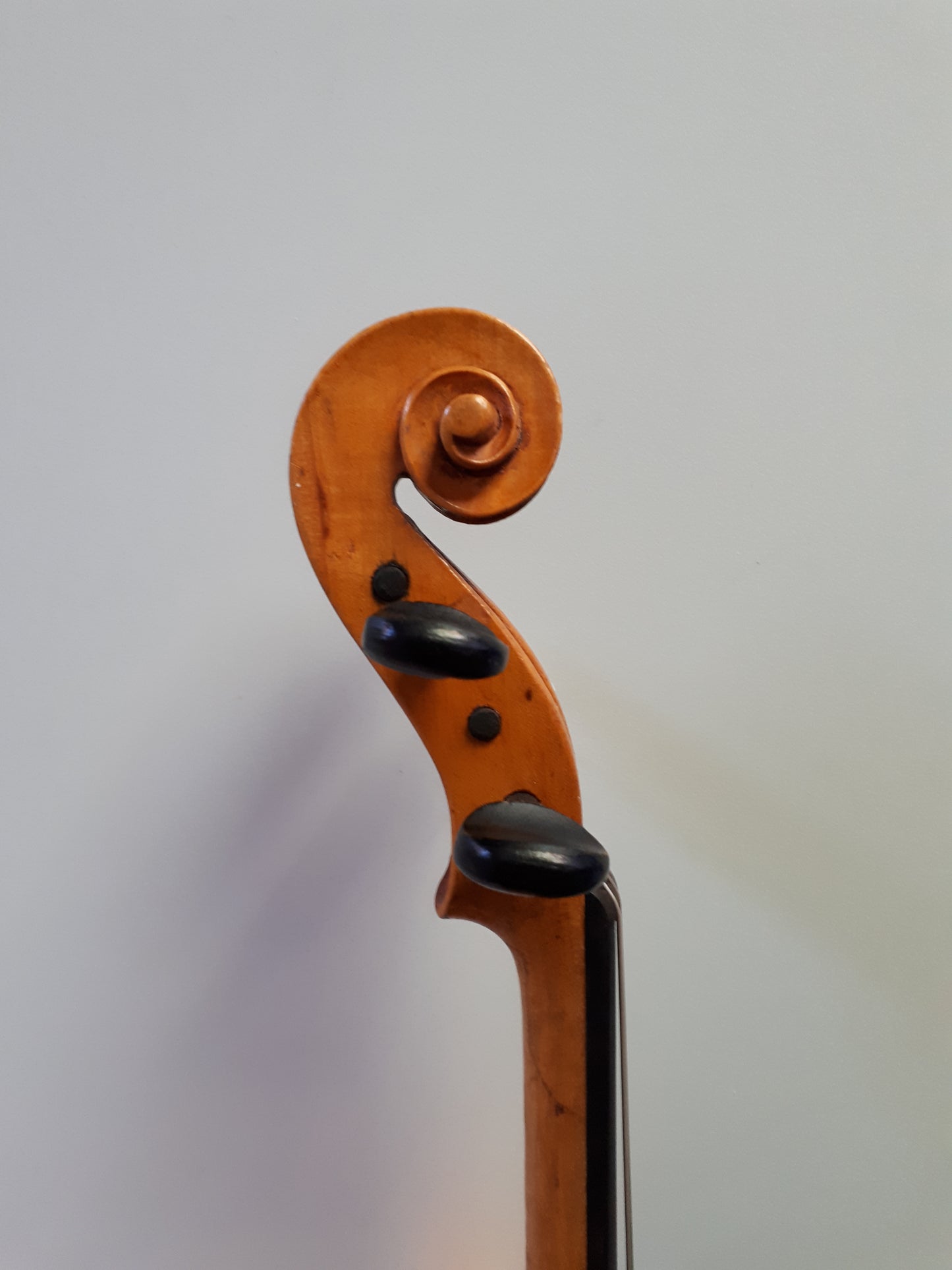 fiol frankrike mirecourt