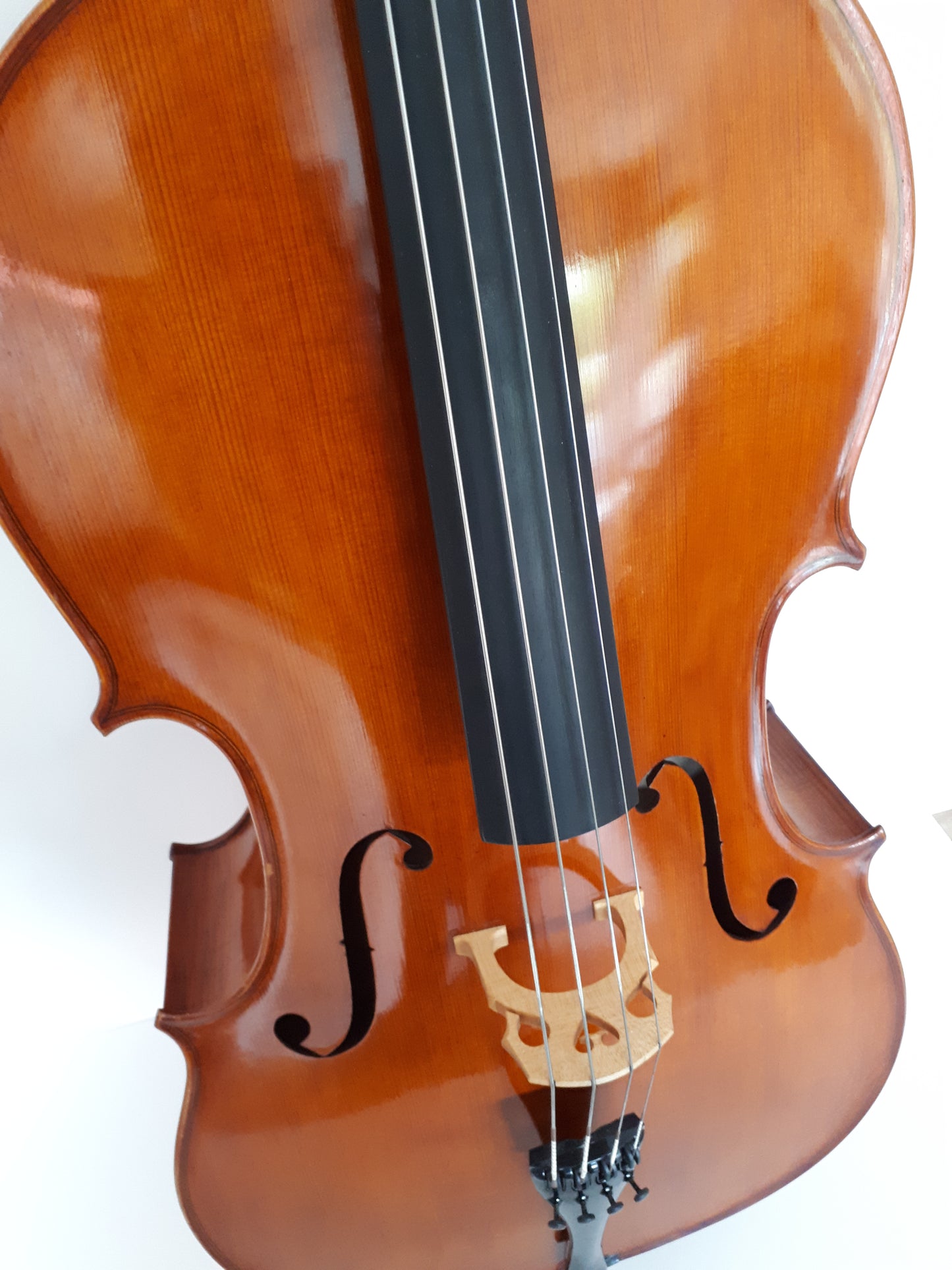 Cello – Wenzl. B. Wilfer 1981