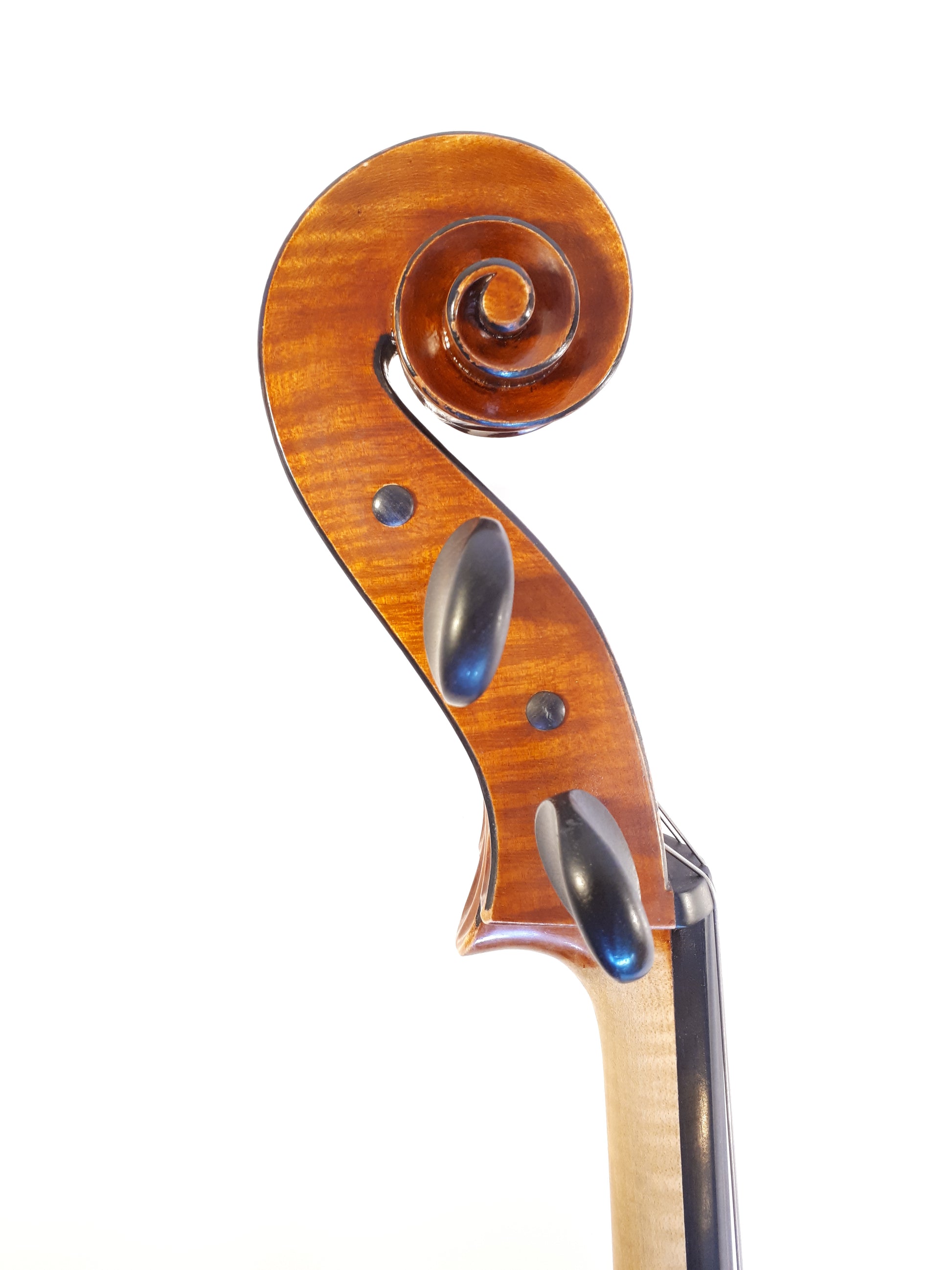 N. Nilsson Fiolbyggare i Malmö värderingsintyg cello