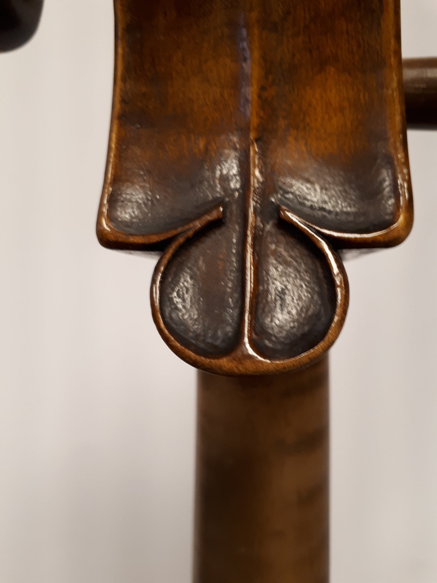 Cello – Slab cut back ca. 1920