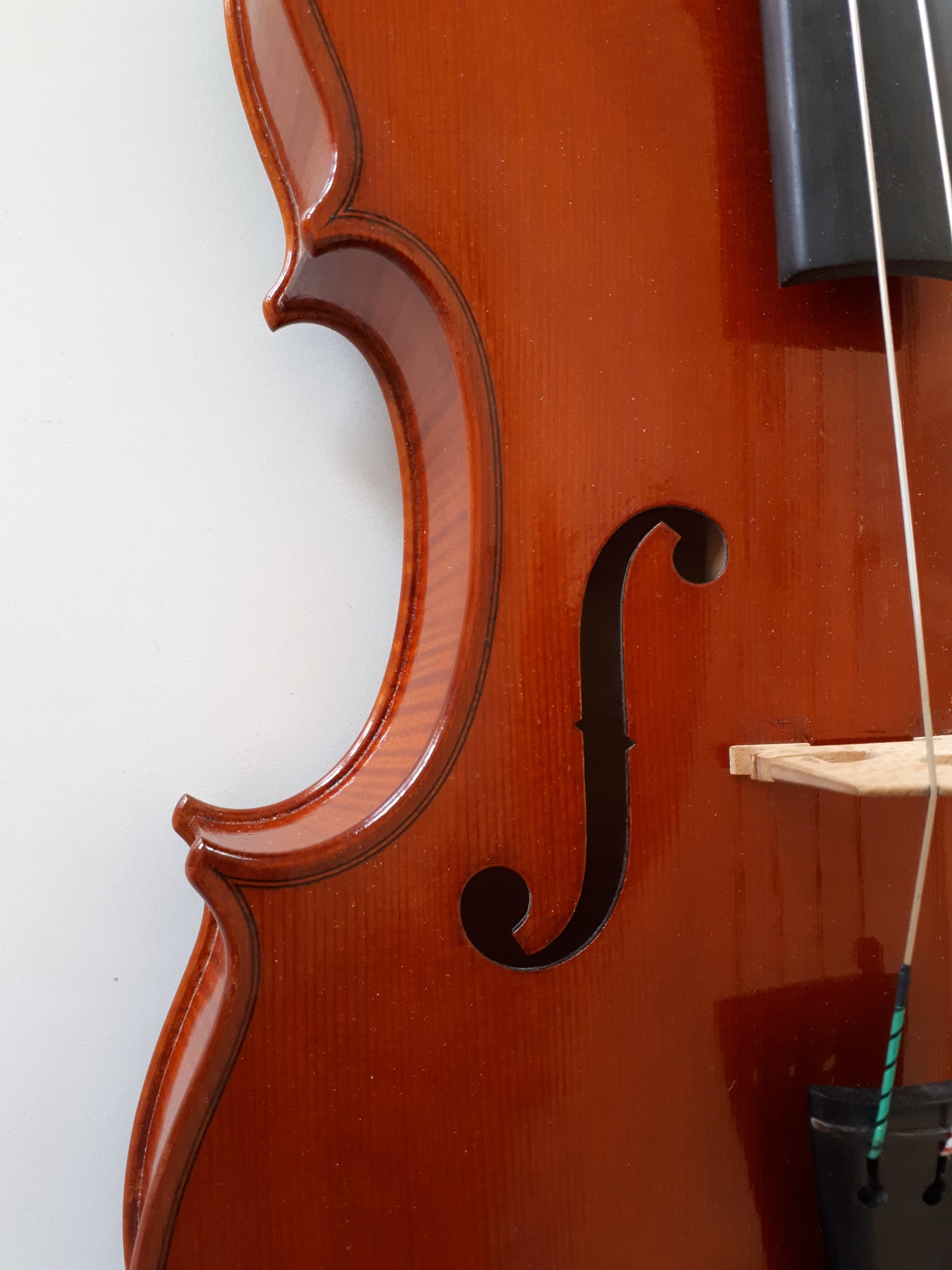 Viola - Philippe Dormond