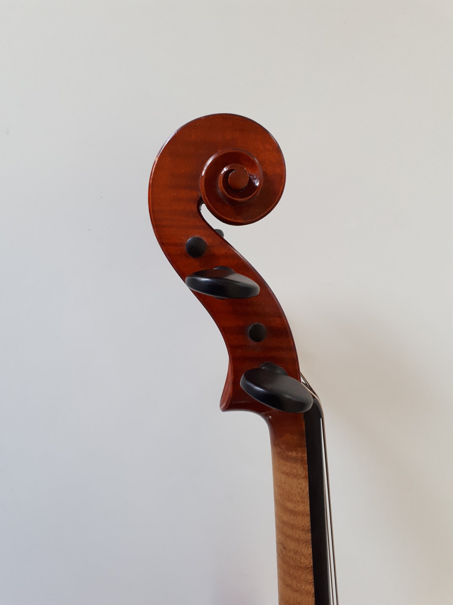 Viola - Philippe Dormond