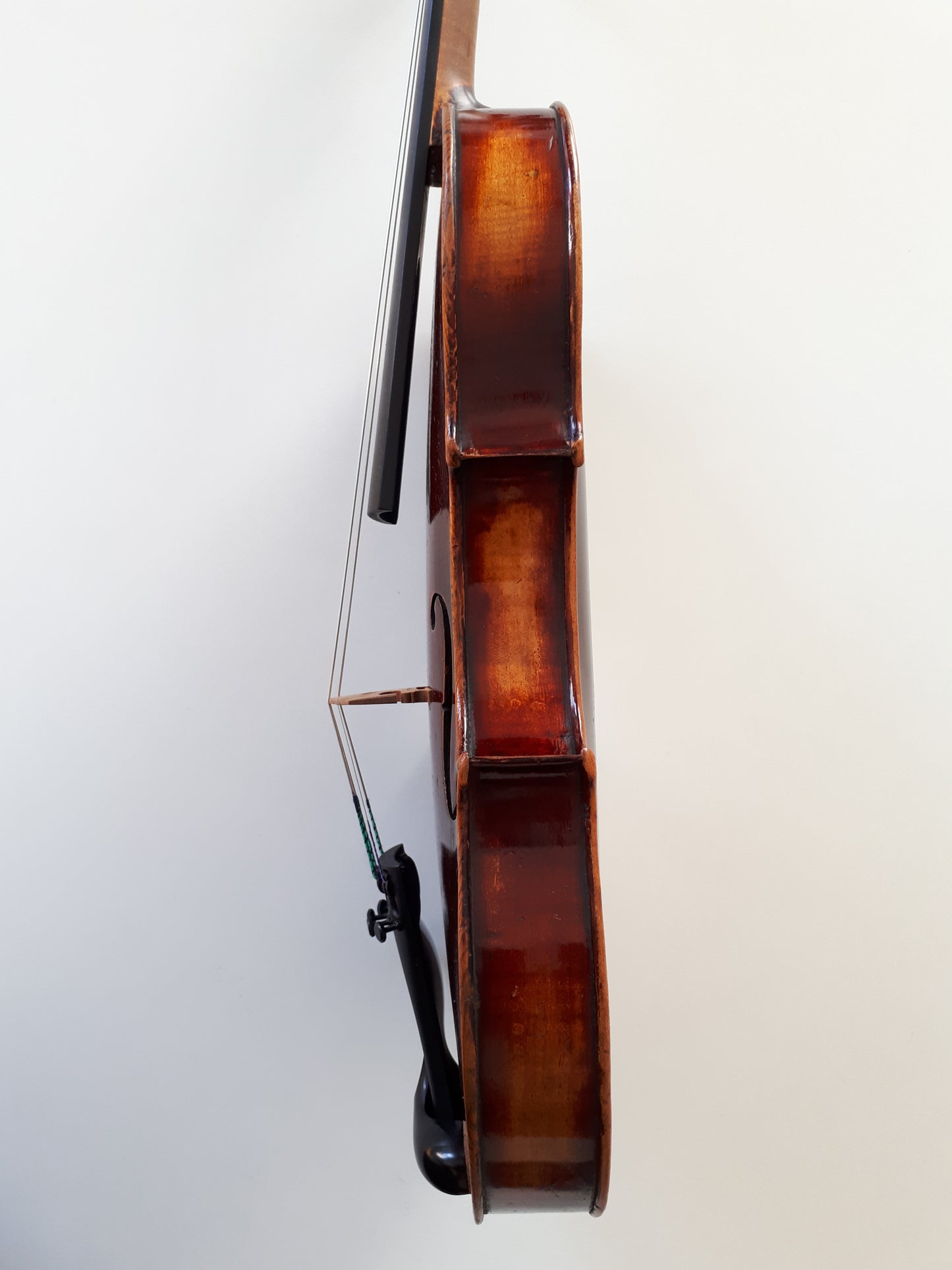 fiol till salu i stockholm