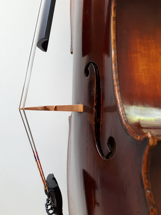 cello mittenwald pris