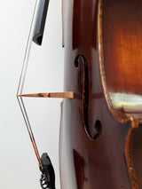 cello mittenwald pris