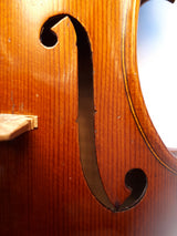 violin alfred moore