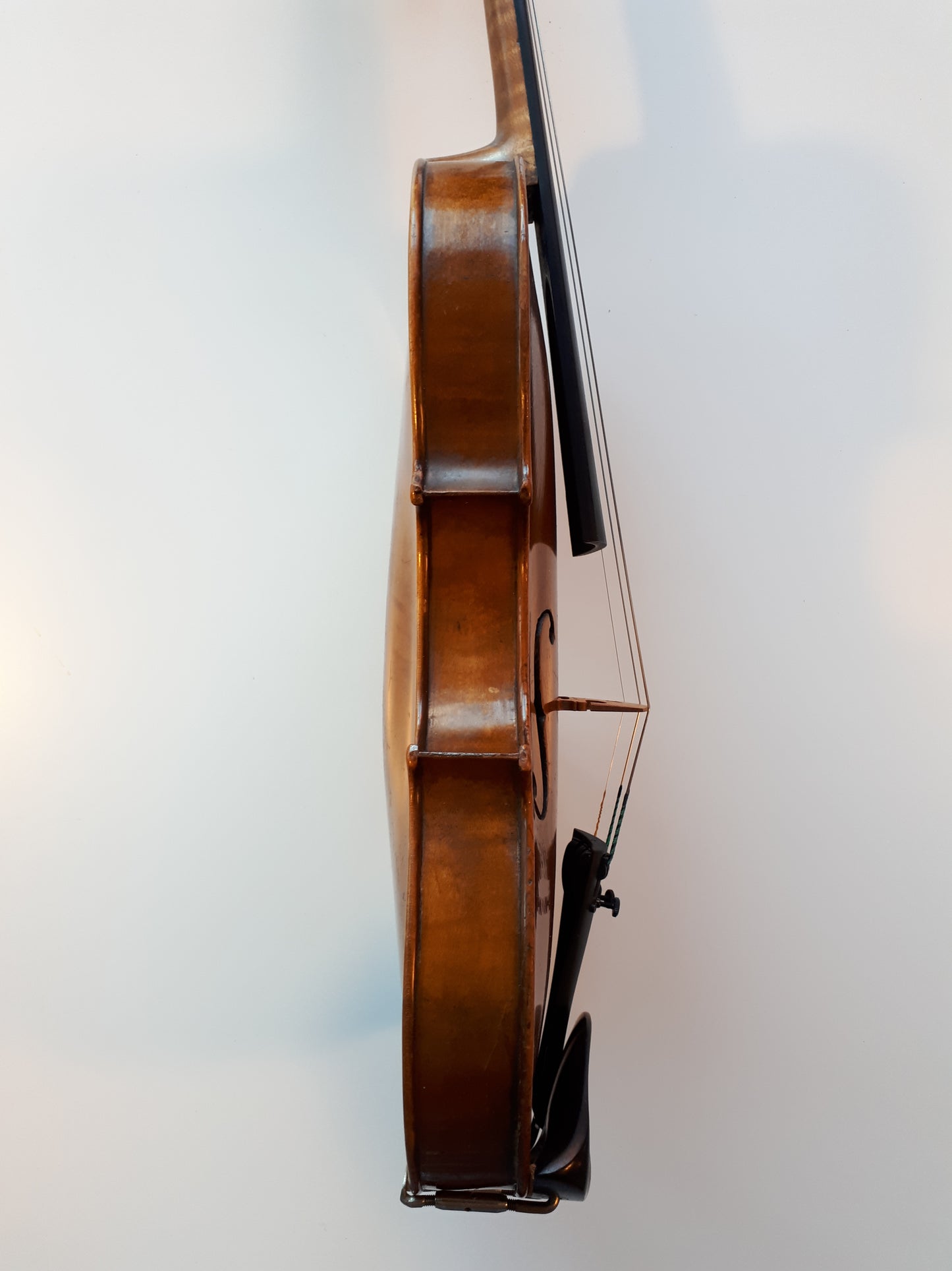 Violin - Amati modell