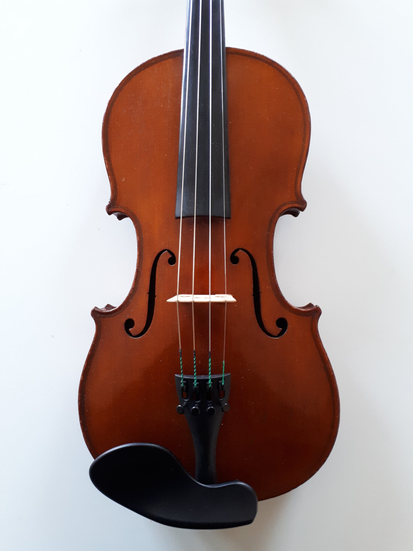 Violin – sign. Carolus Ferdinandus Landulphus 1790