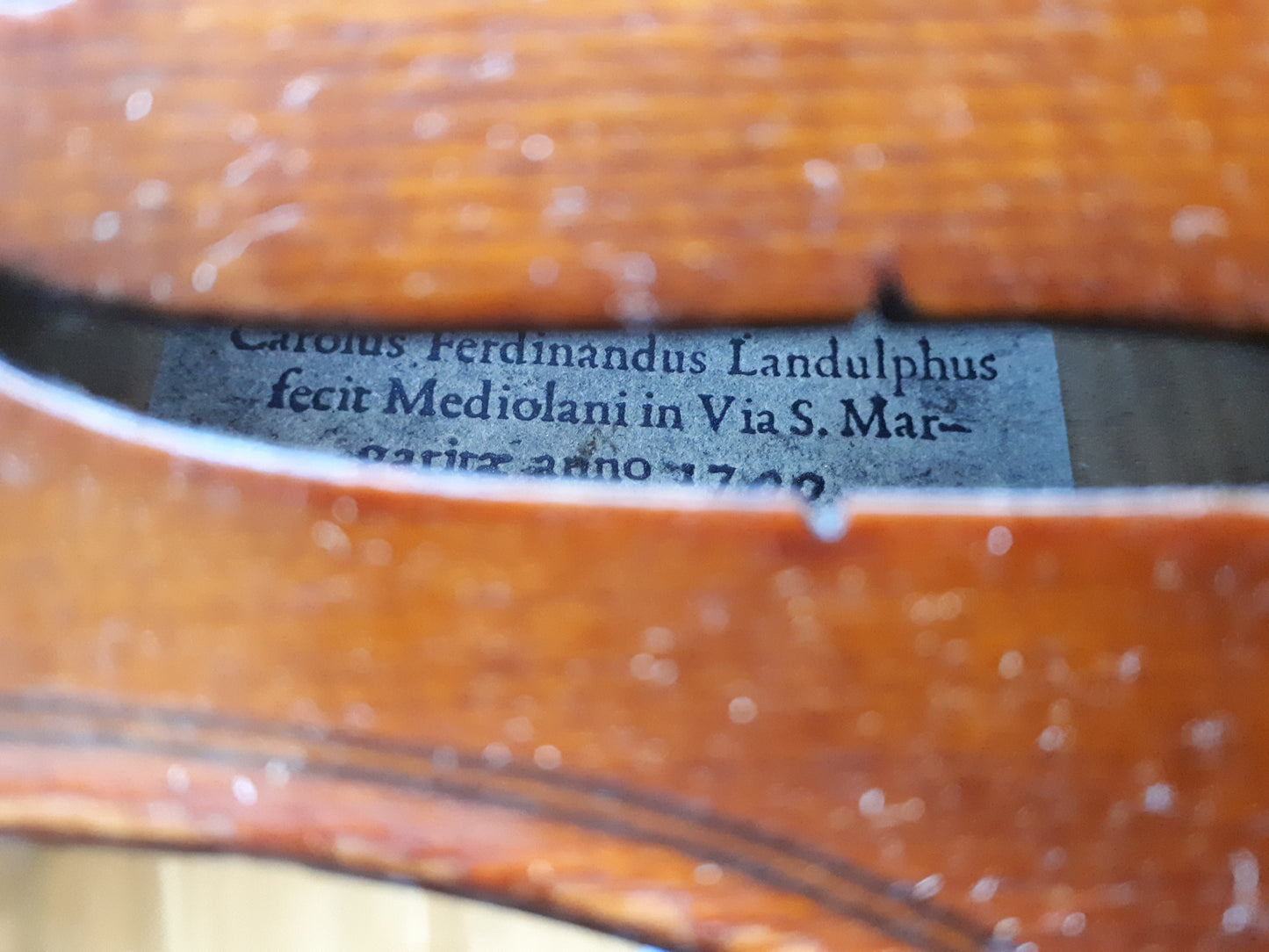 Violin – sign. Carolus Ferdinandus Landulphus 1790