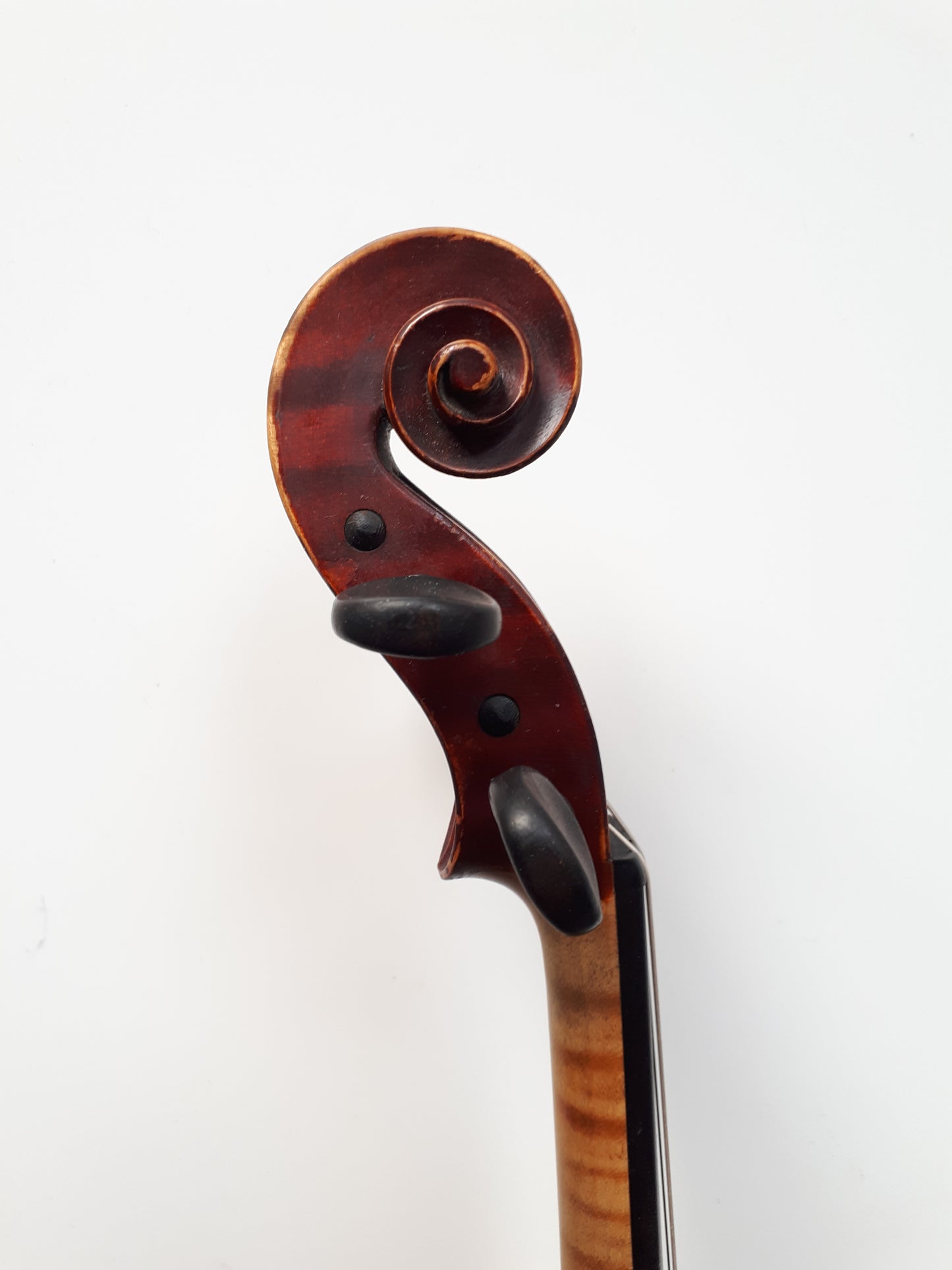 Violin - W. E. Hill & Sons 1911