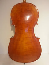 Cello R Paesold 1981 salu gammal cello