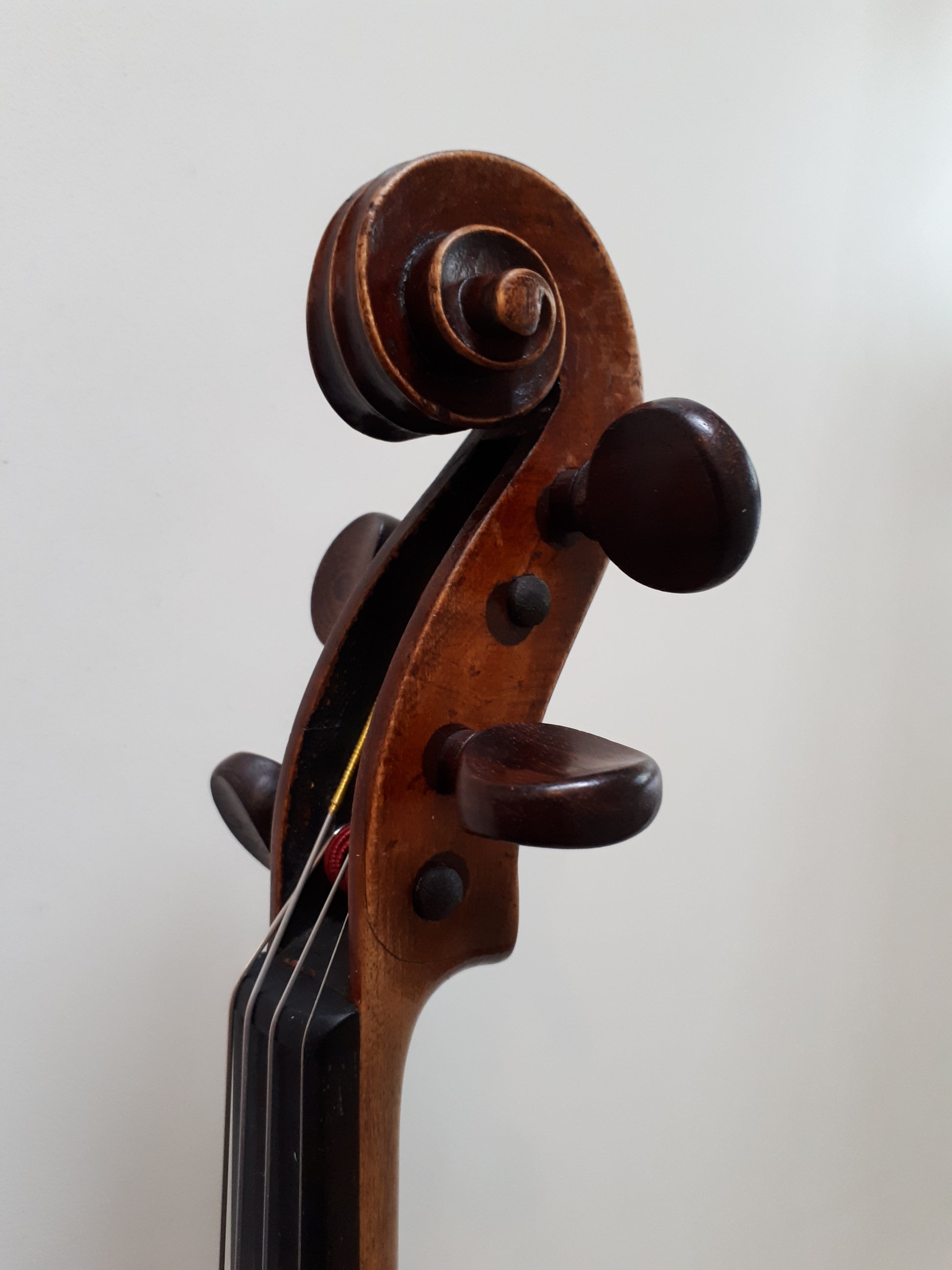 fiol montagnana pris 