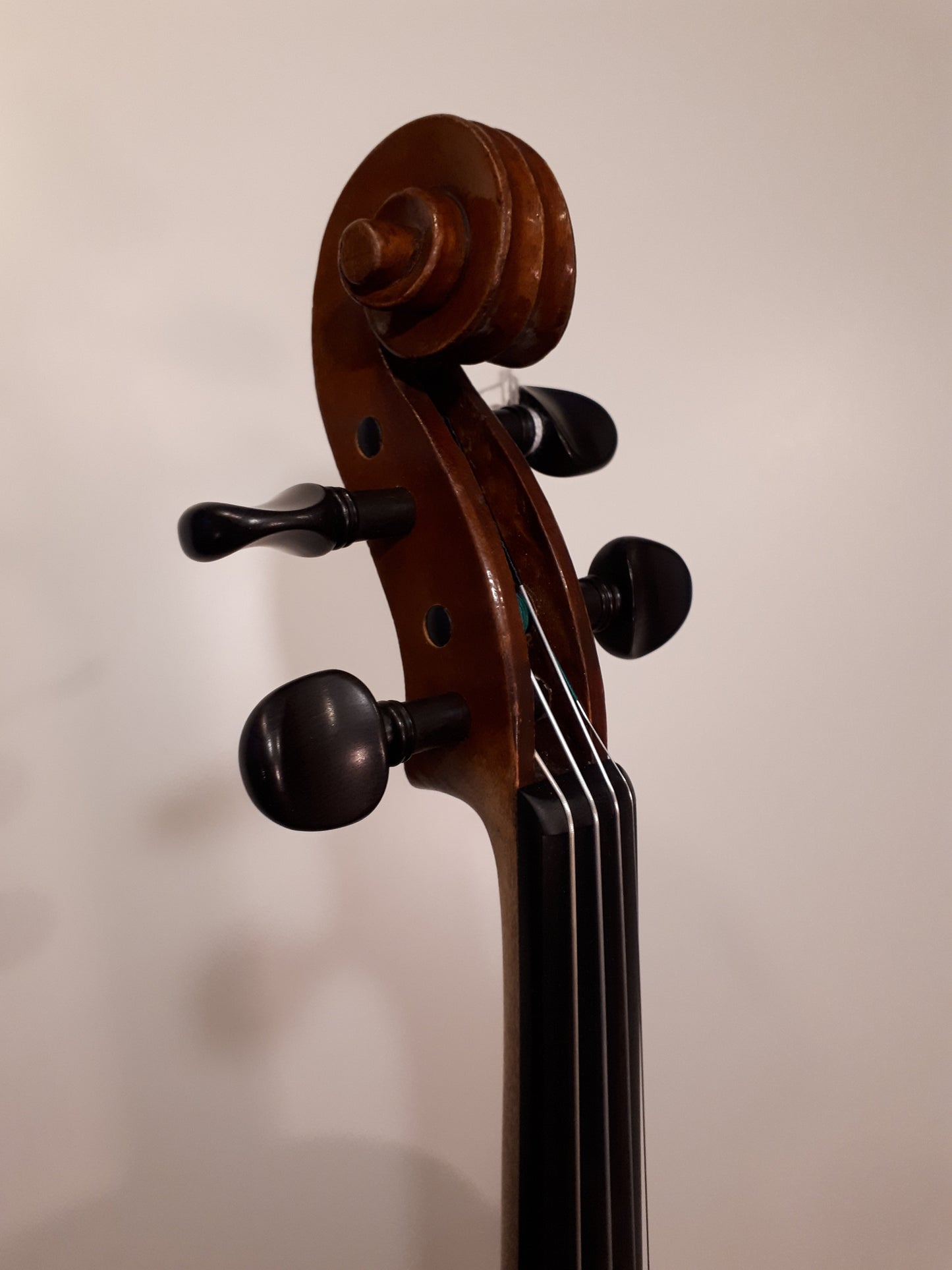 violon couterieux price
