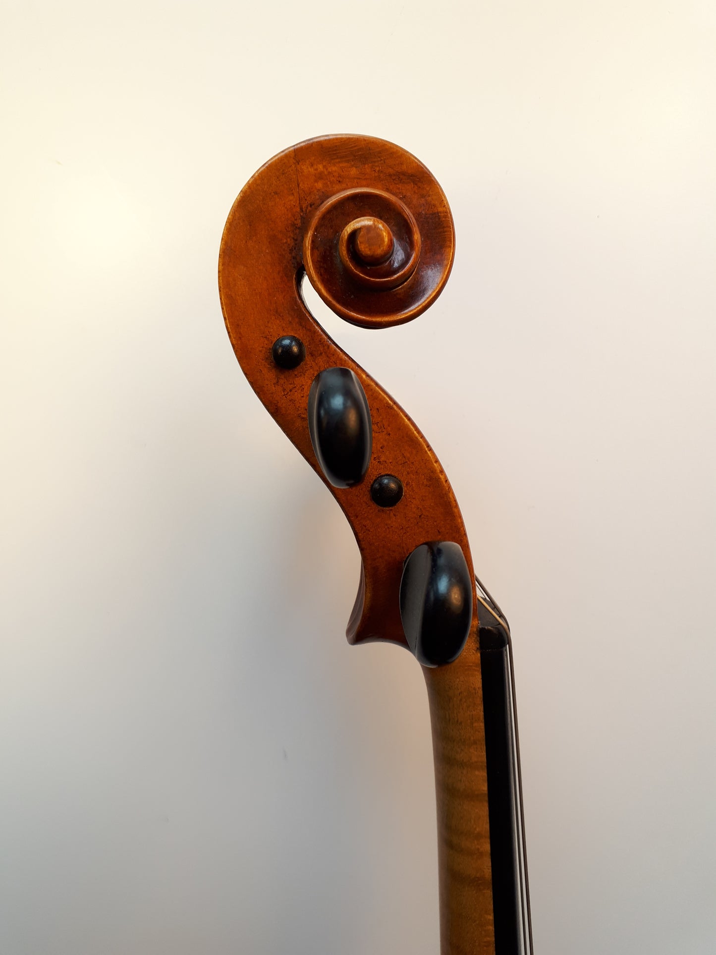 Violin – sign. Jo: Baptista Ceruti 1804