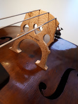 cello mikael wallmo