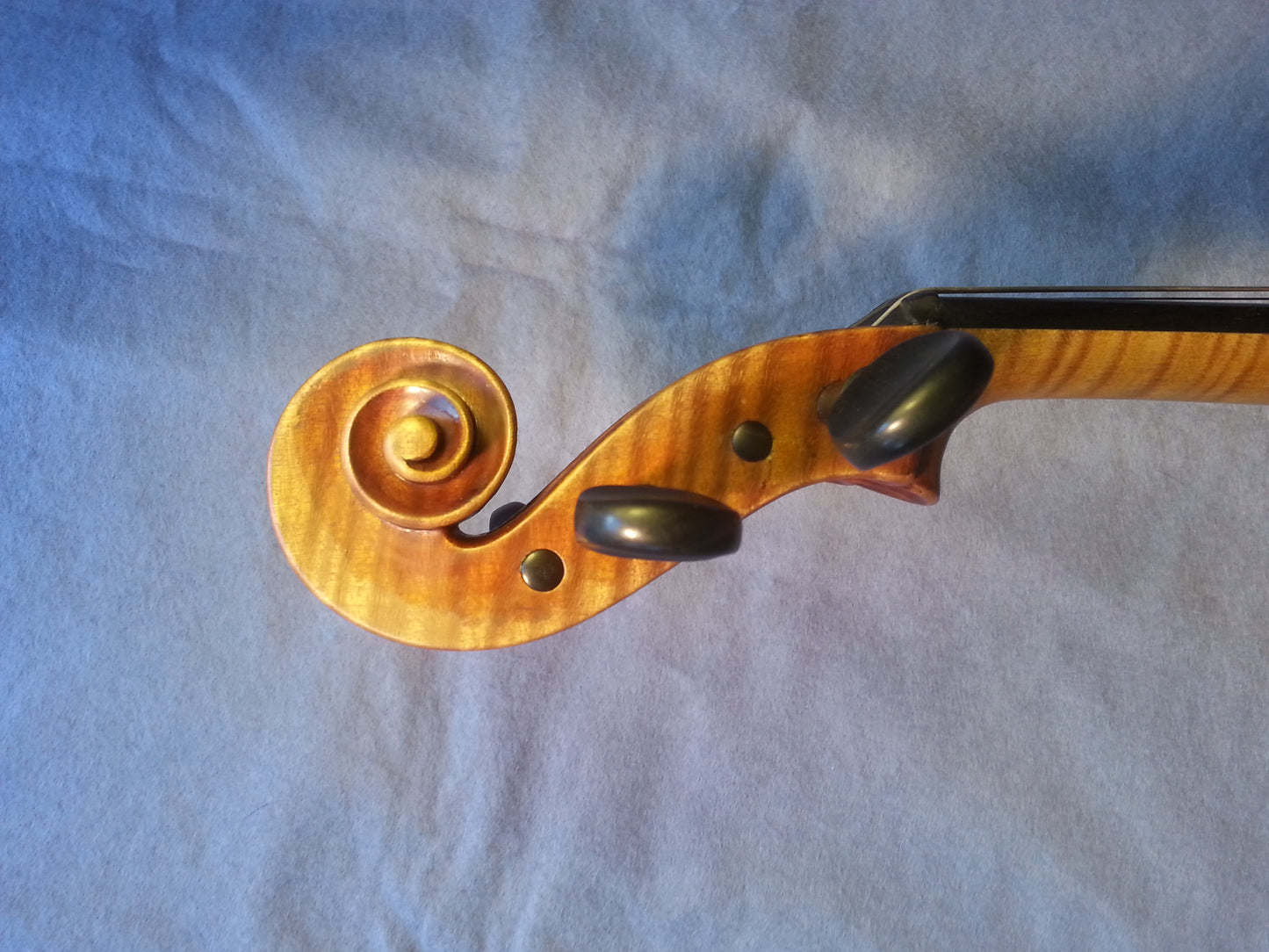 Viola - 100 years old