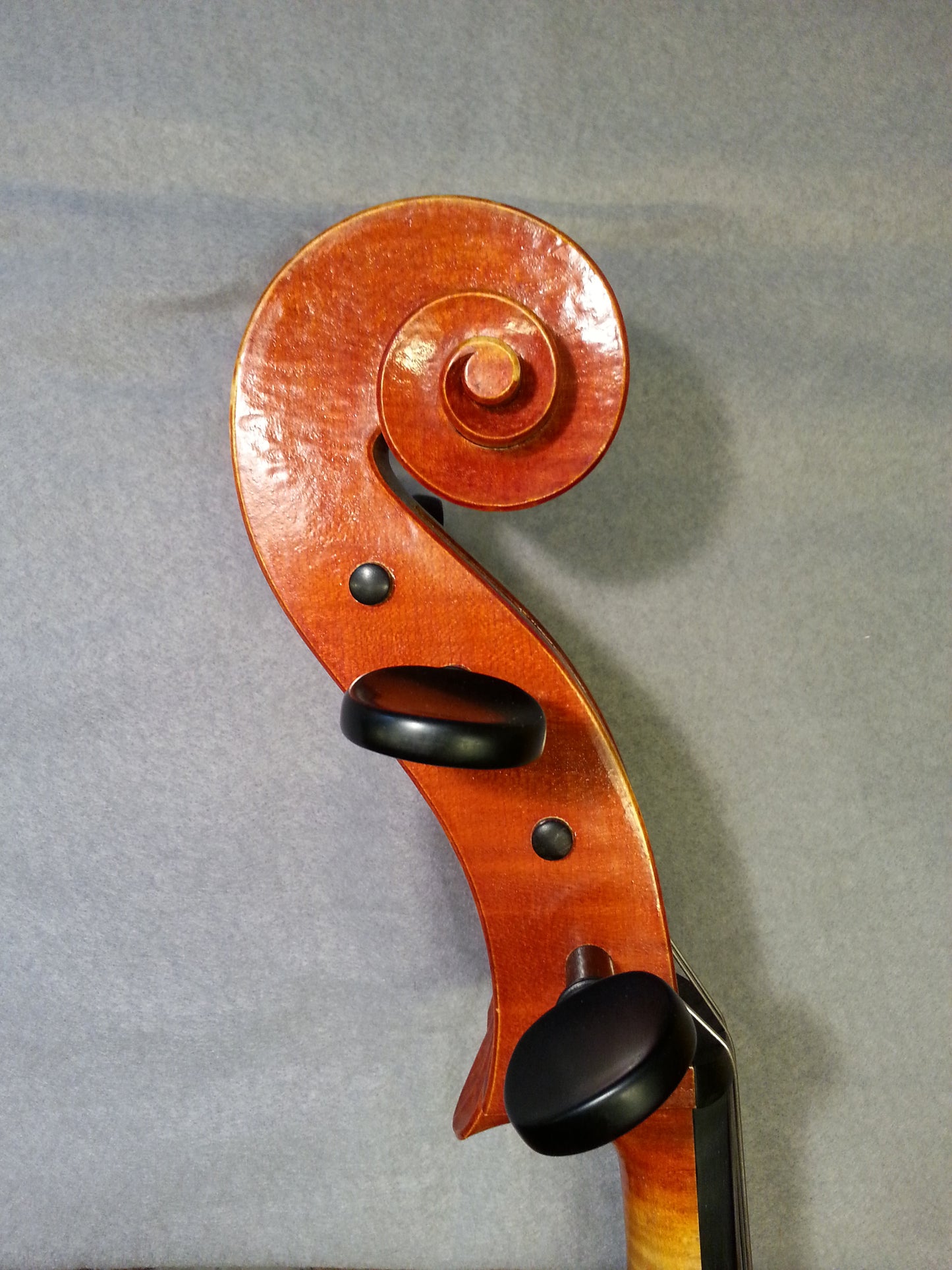 Cello - Philippe Dormond 2014