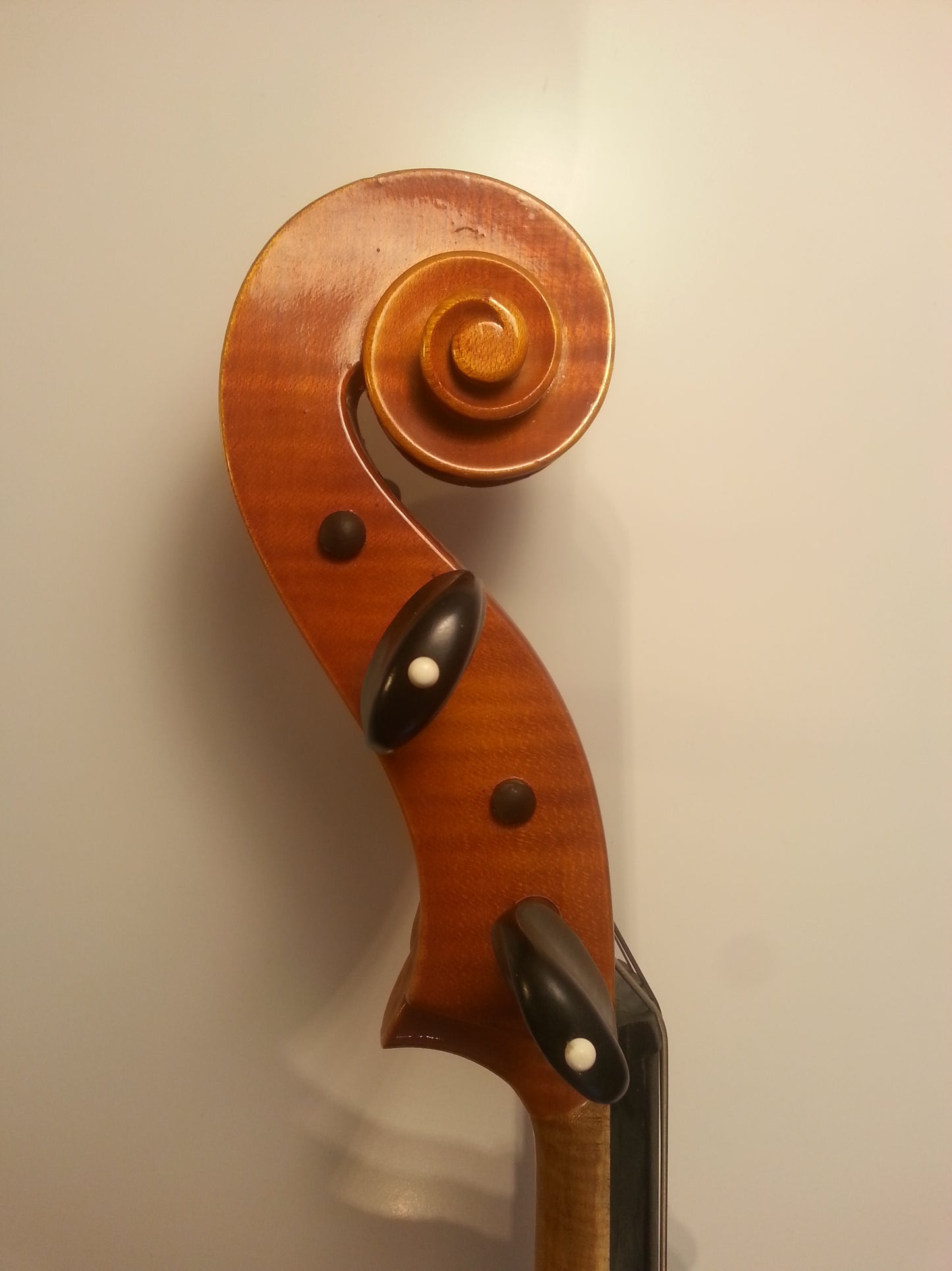 Cello - R. Paesold 1981