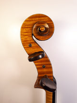 fine modern prize winning swedish cello