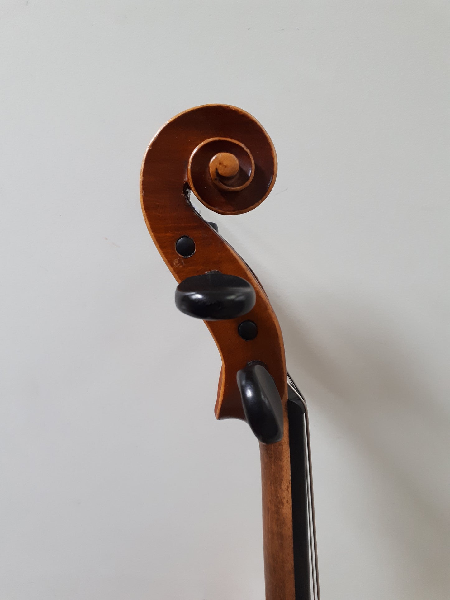 adolf fredriks musikklasser stockholm