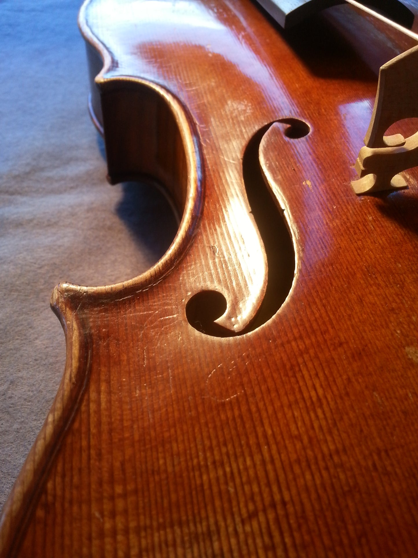 Viola - 100 years old