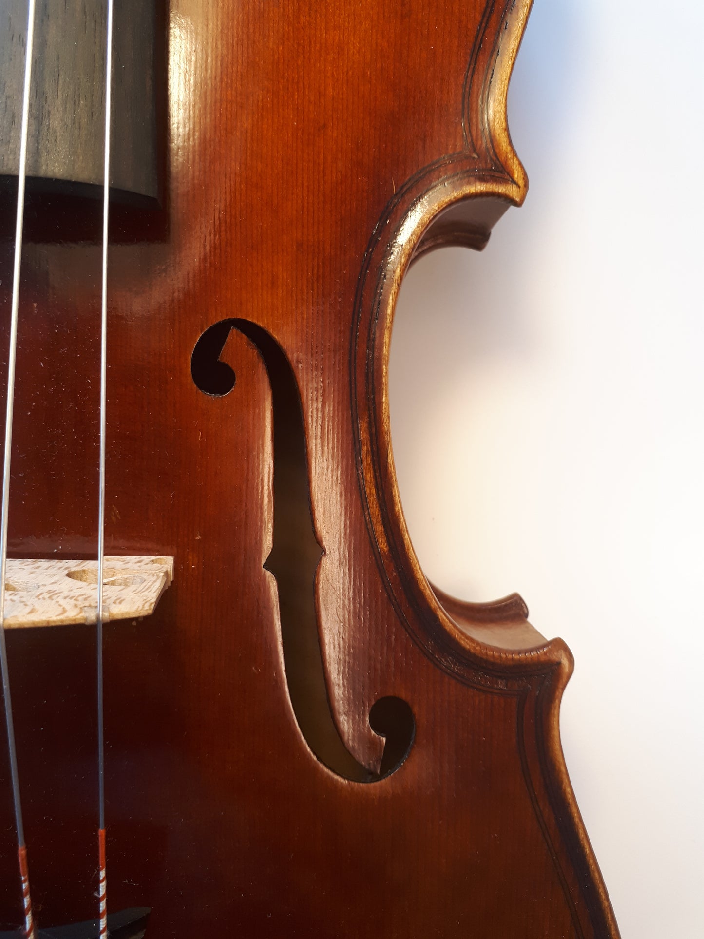 Viola - Jay Haide 2017