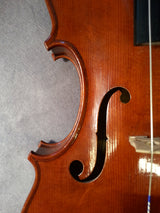 Violin Baroque - Dormond