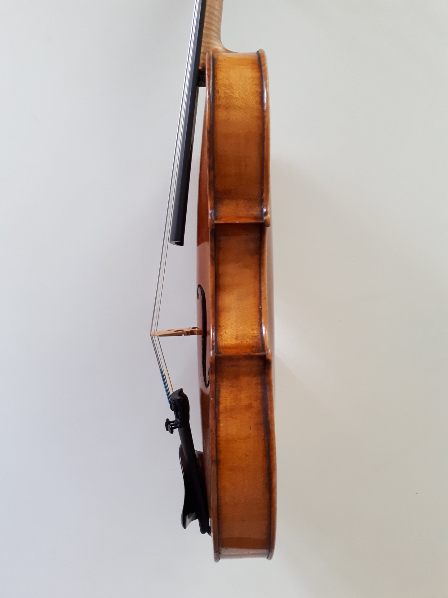 hyra nybörjar fiol violin