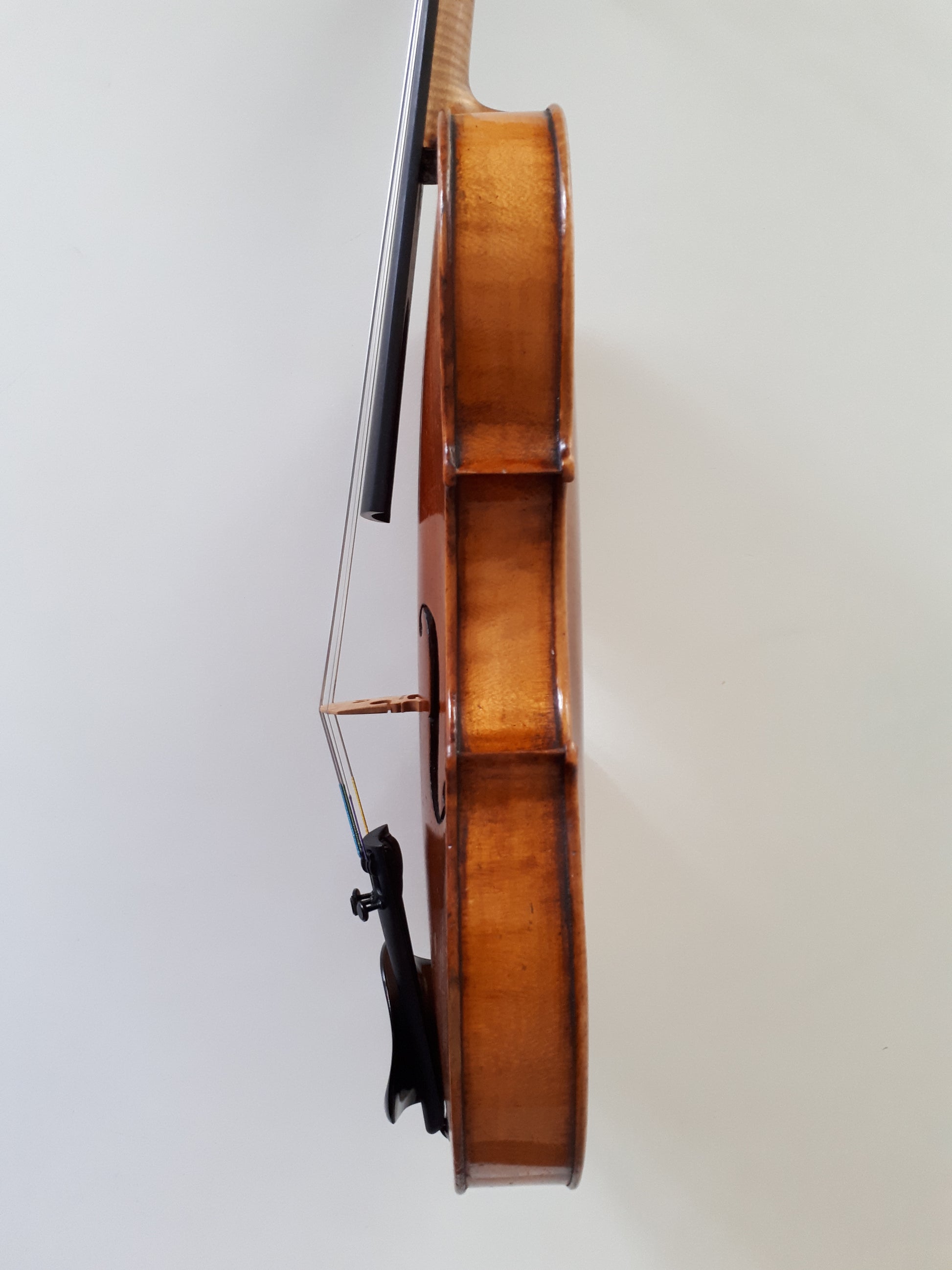 hyra nybörjar fiol violin