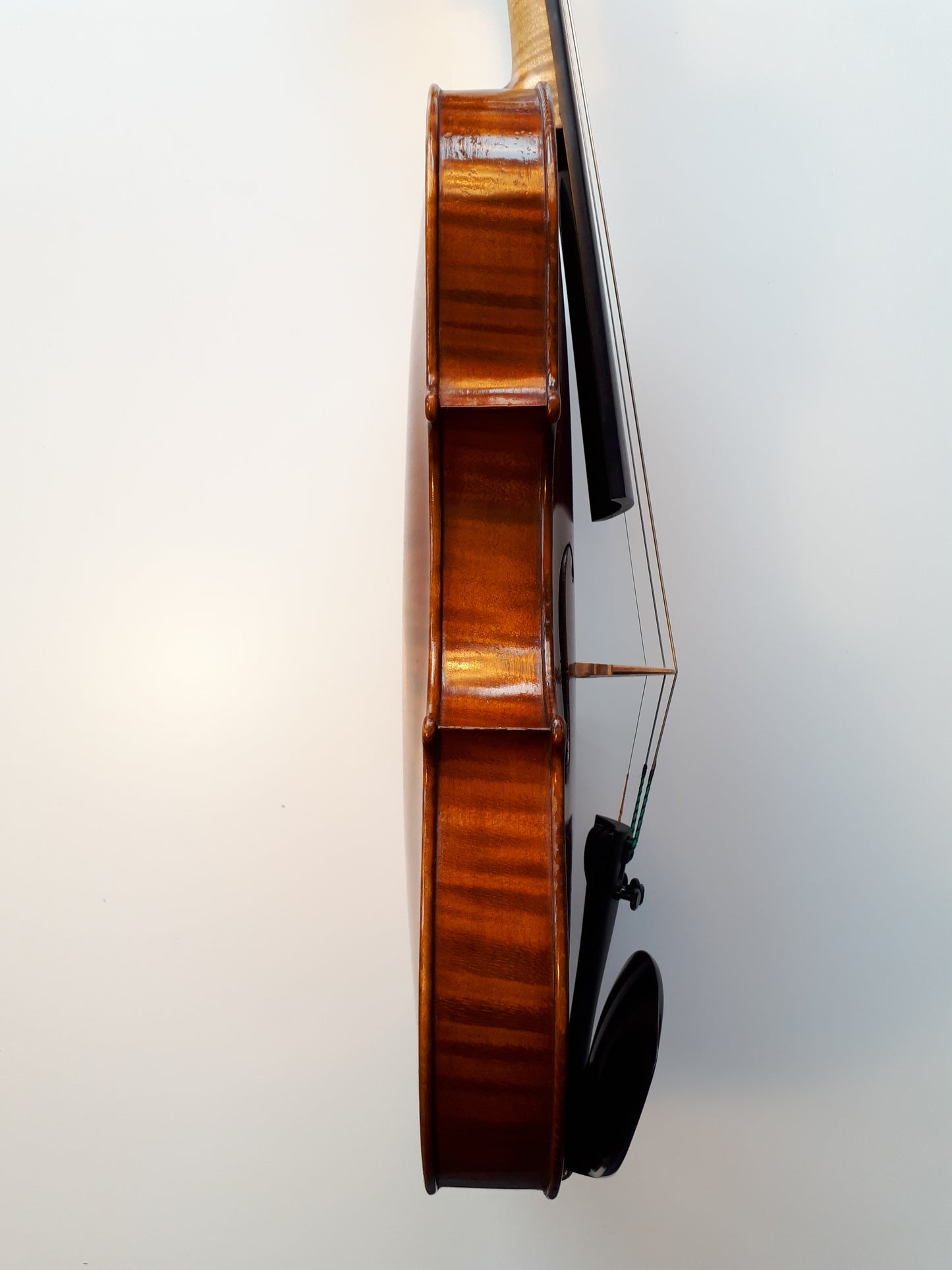 Violin – sign. Jo: Baptista Ceruti 1804