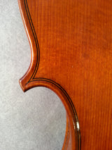 Violin Baroque - Dormond