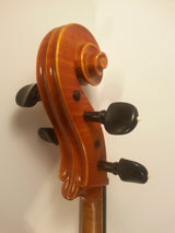 Cello - R. Paesold 1981