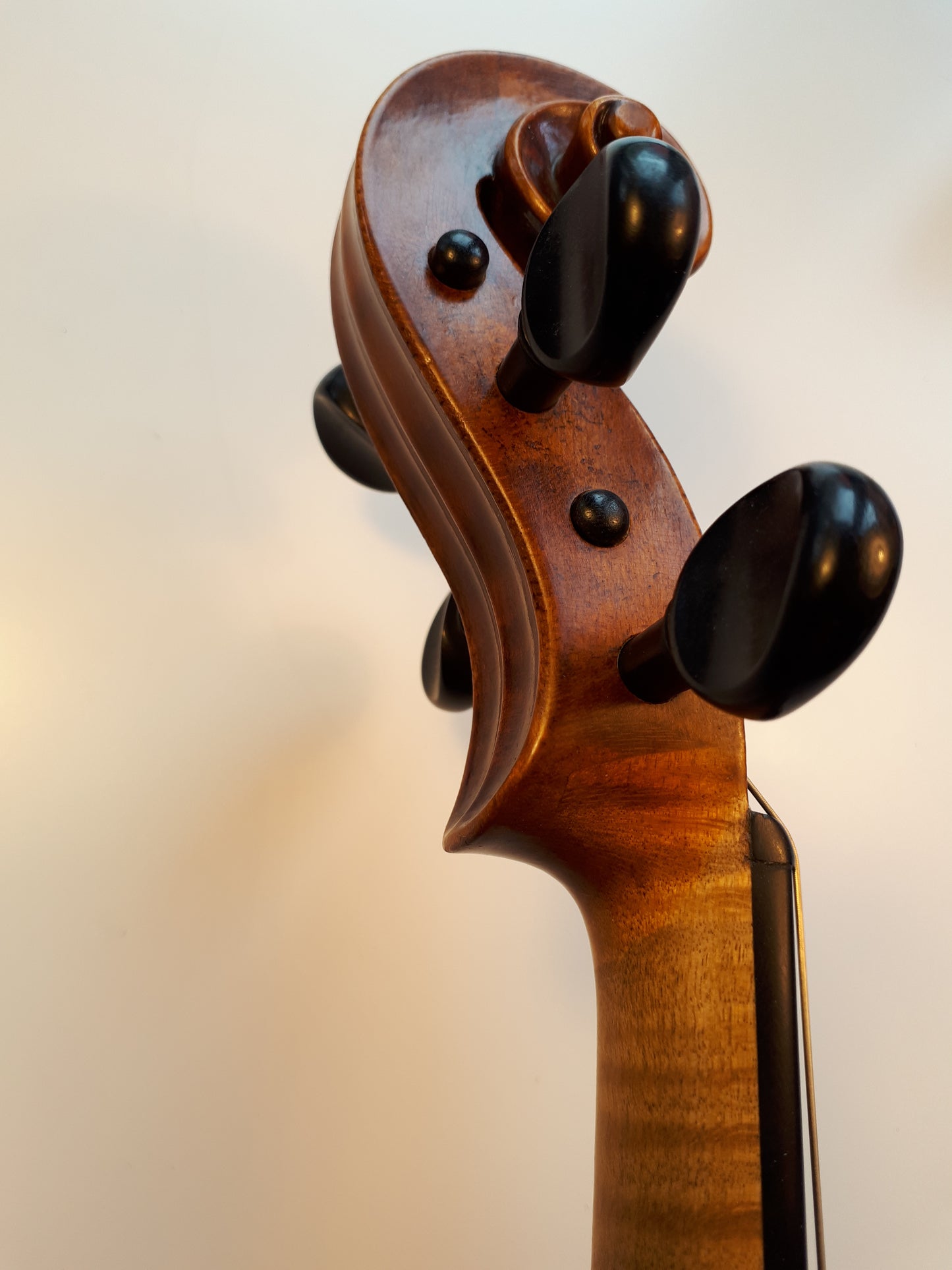 Violin – sign. Jo: Baptista Ceruti 1804