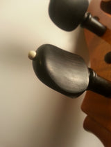 Cello - R. Paesold 1981