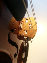 child violin stam utrecht bridge